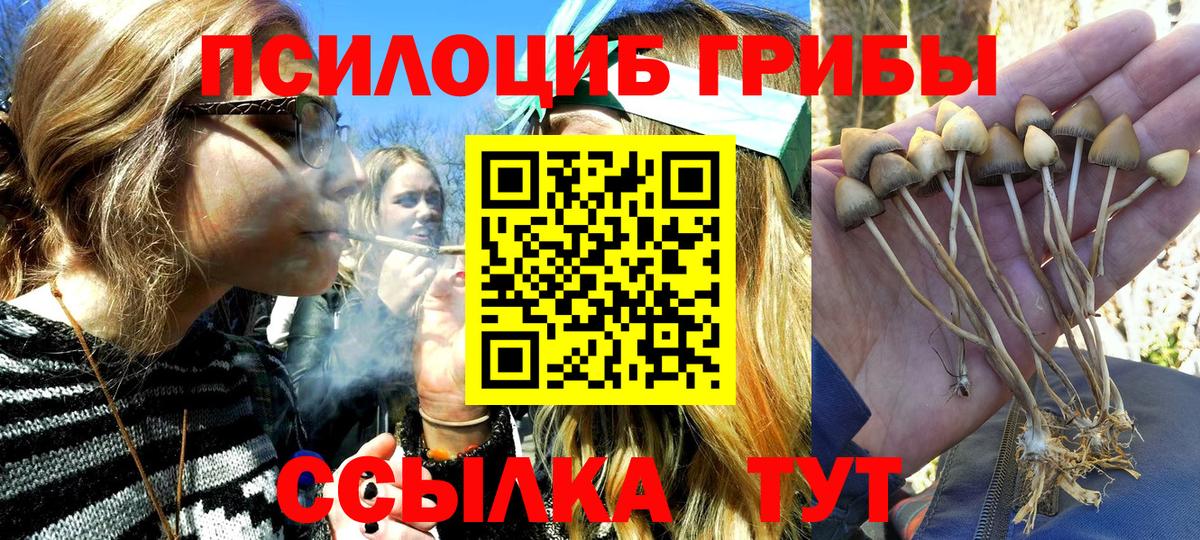 Галлюциногенные грибы Psilocybine cubensis  Вход с VPN  Черногорск 